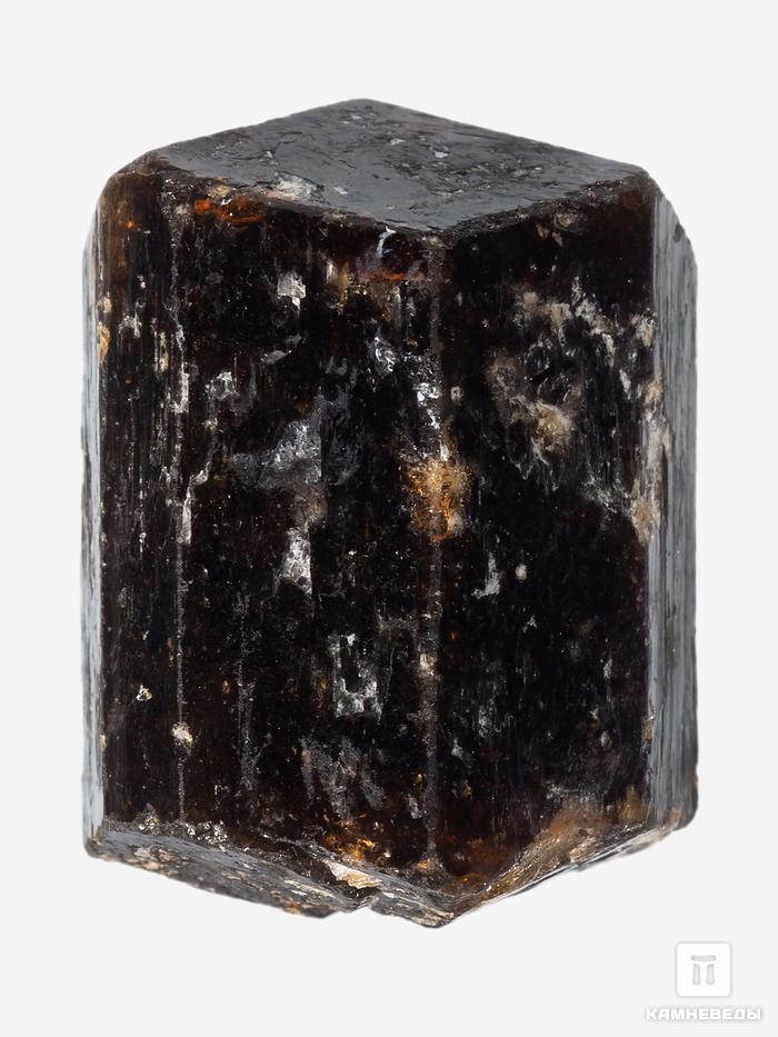 Дравит (турмалин), двухголовый кристалл 3,5х2,9х2,5 см, 26923, фото 2