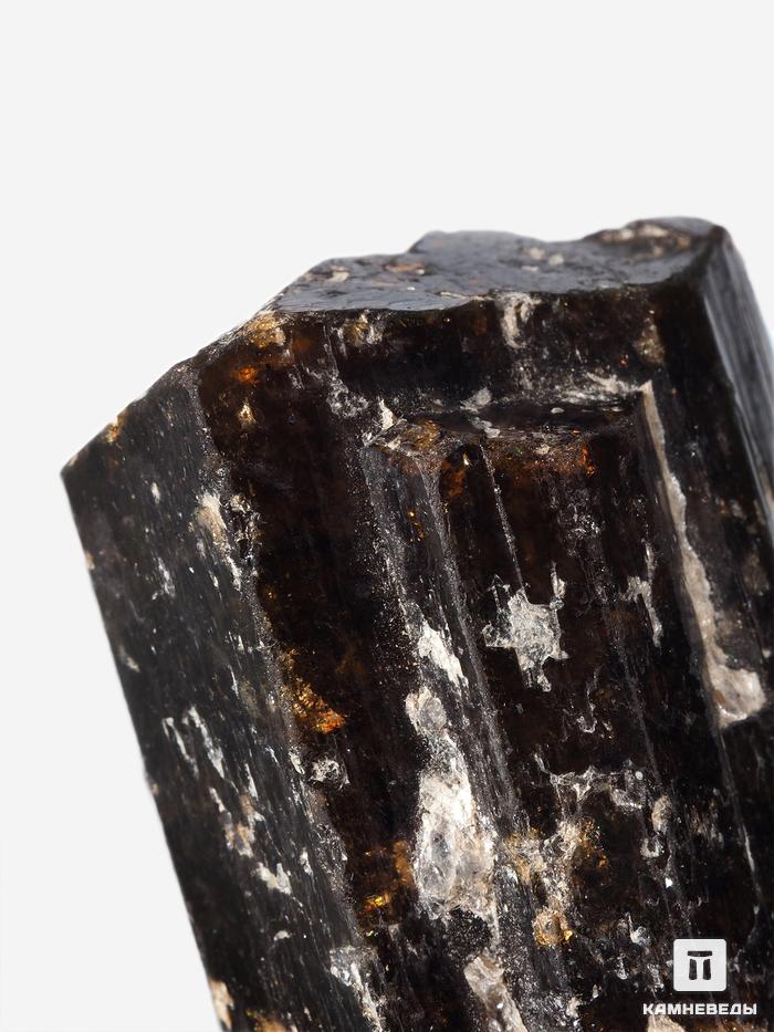 Дравит (турмалин), двухголовый кристалл 3,5х2,9х2,5 см, 26923, фото 3