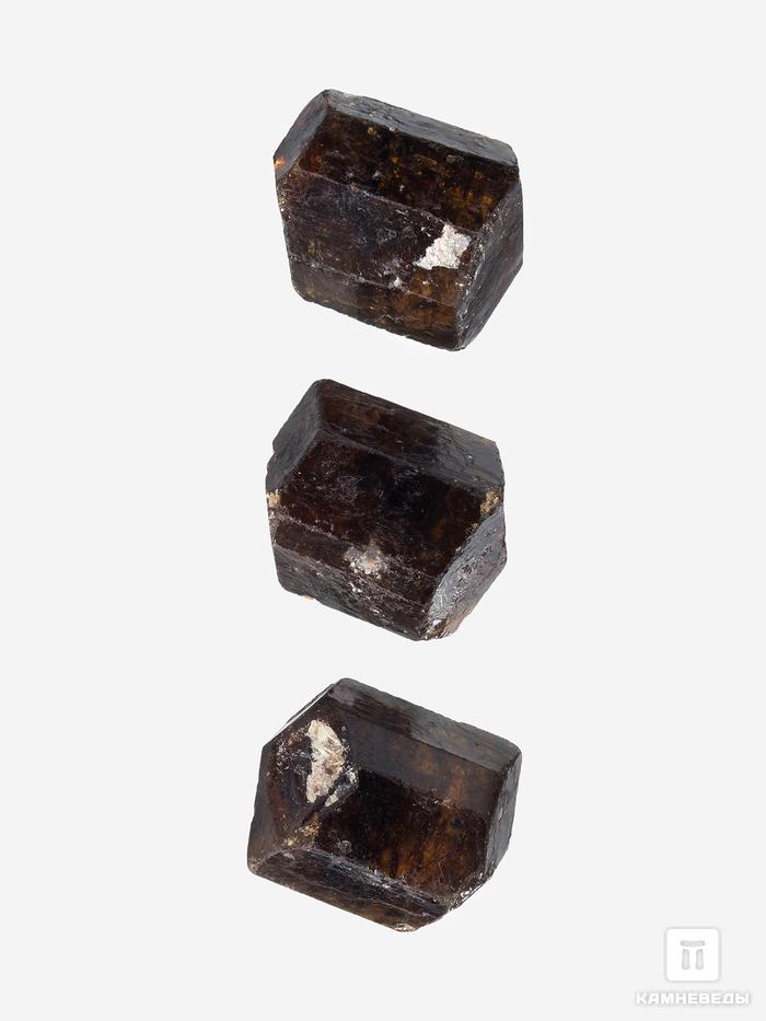 Дравит (турмалин), двухголовый кристалл 2,9х2,4х2,3 см, 26949, фото 1