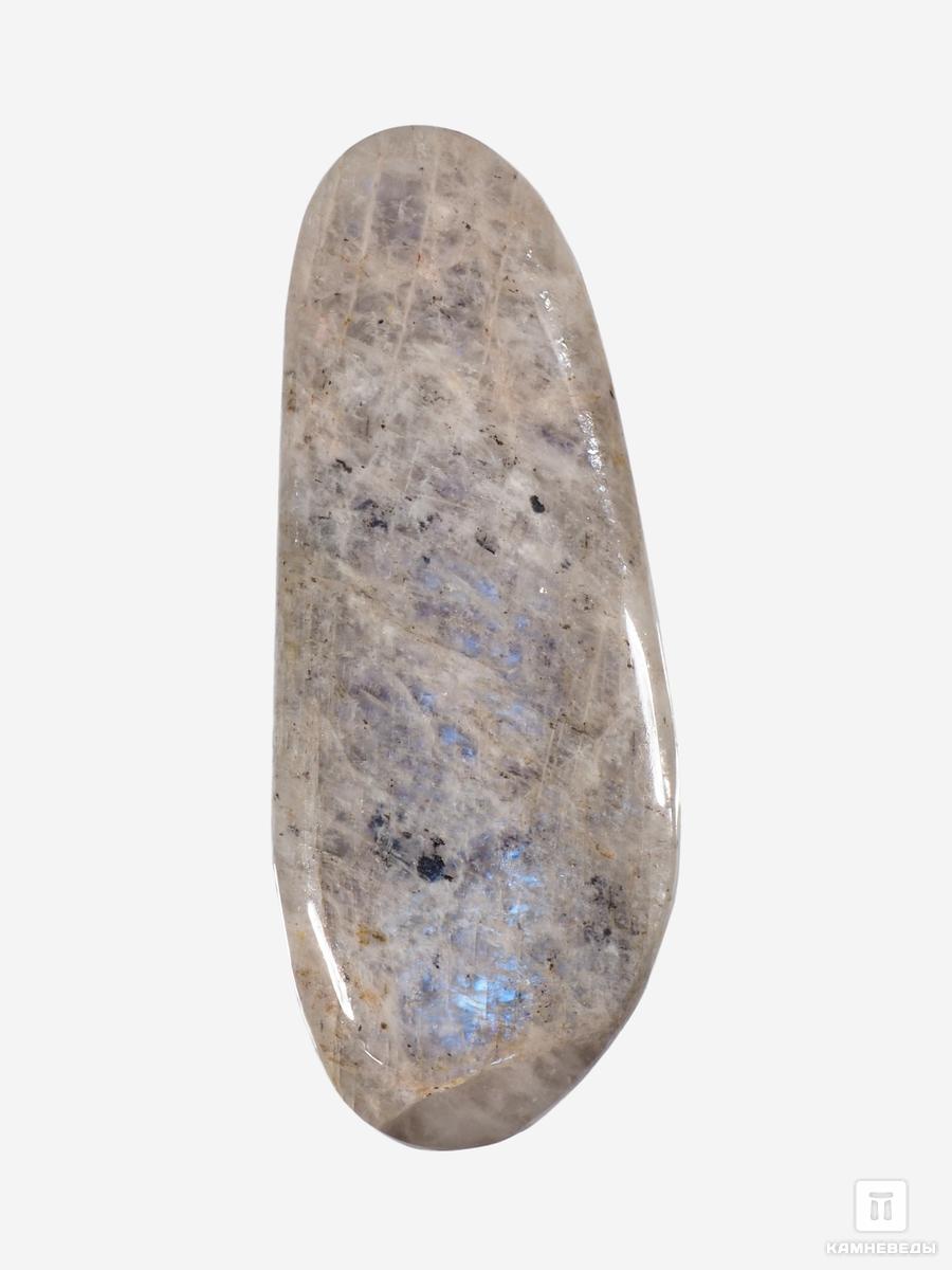 Беломорит, полированная галька 4-6 см подсолнух простые рисунки яркие образцы