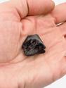 Метеорит «Сихотэ-Алинь», индивидуал 2,5-3 см (18-19 г), 26984, фото 4