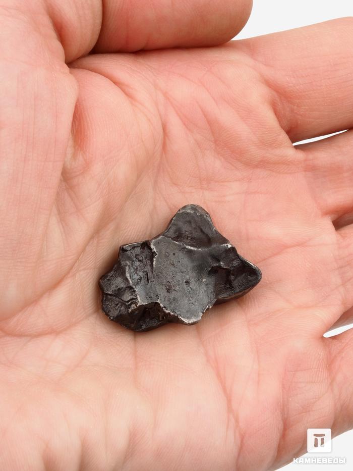 Метеорит «Сихотэ-Алинь», индивидуал 3-2,5 см (14-15 г), 26980, фото 4