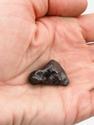 Метеорит «Сихотэ-Алинь», индивидуал 2,5-3 см (15-16 г), 26981, фото 4
