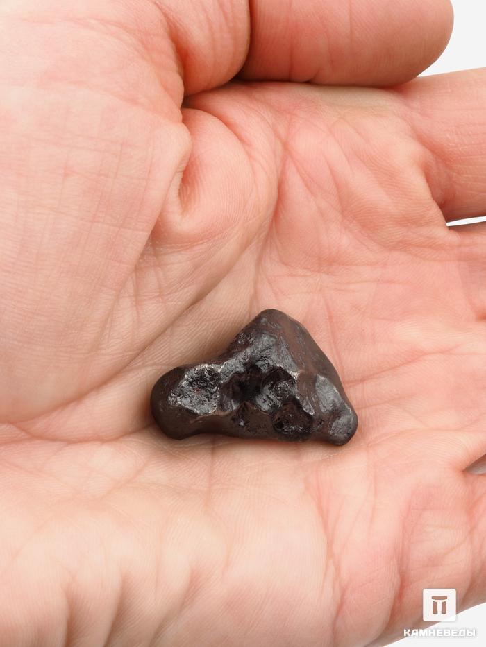 Метеорит «Сихотэ-Алинь», индивидуал 2,5-3 см (15-16 г), 26981, фото 4