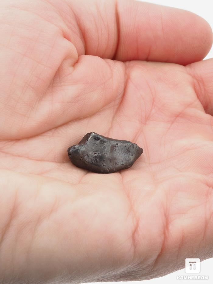 Метеорит «Сихотэ-Алинь» в пластиковом боксе, индивидуал 1,5-2 см (4-5 г), 26965, фото 4