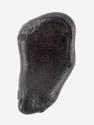Метеорит «Сихотэ-Алинь» в пластиковом боксе, индивидуал 1-1,5 см (2-3 г), 26961, фото 2