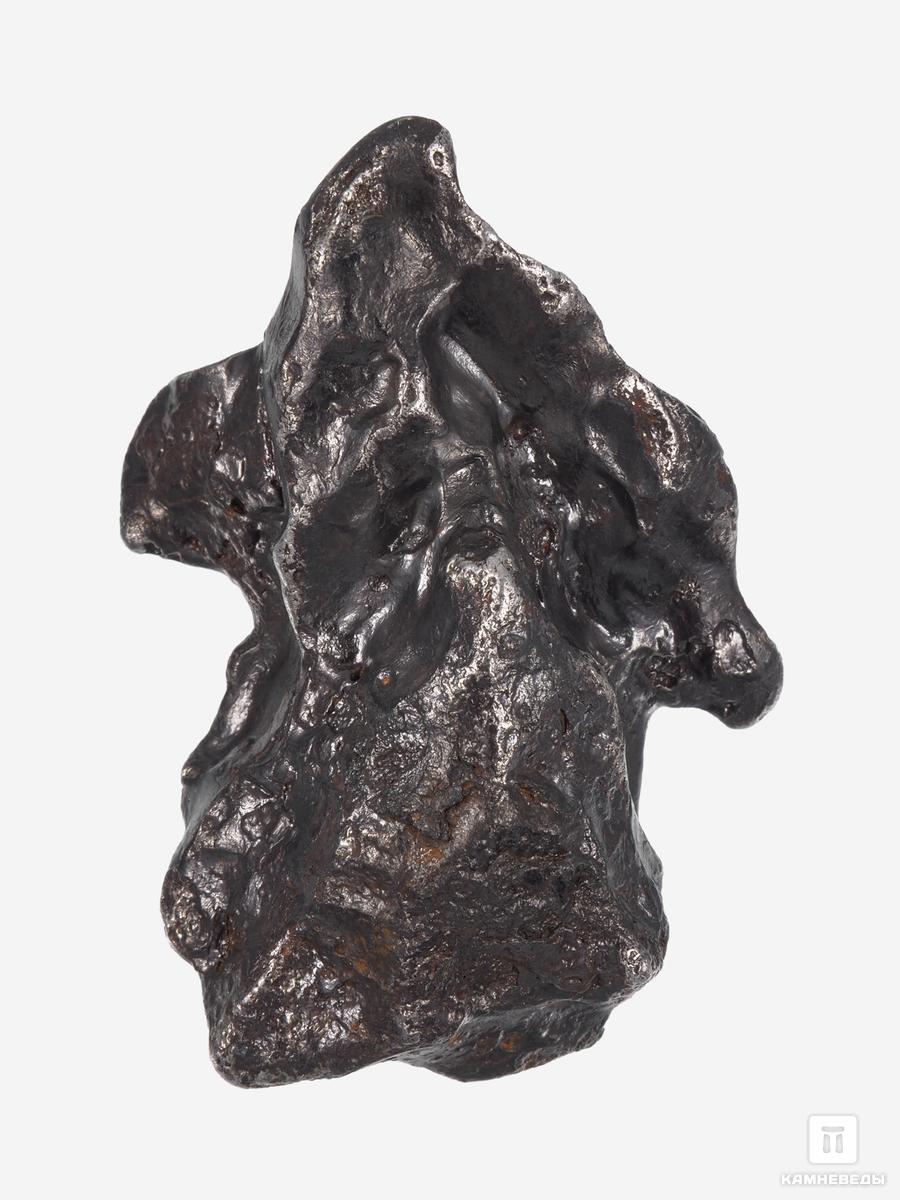 Метеорит «Сихотэ-Алинь», индивидуал 4,8х3,3х2,3 см (79 г) до февраля