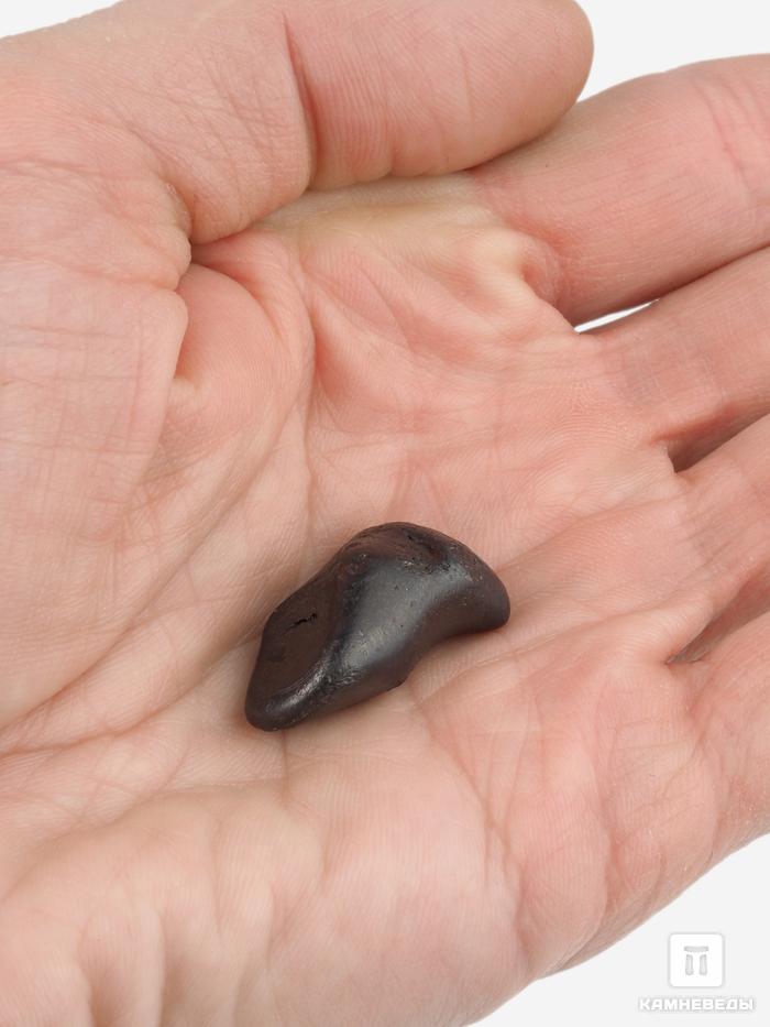 Метеорит «Сихотэ-Алинь», индивидуал 2,5х1,3х1,2 см (14 г), 27005, фото 3
