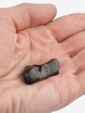 Метеорит «Сихотэ-Алинь», индивидуал 2,9х2,6х2,5 см (20 г), 26993, фото 3