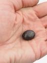 Метеорит «Сихотэ-Алинь», индивидуал 2-1,5 см (10-11 г), 27003, фото 4