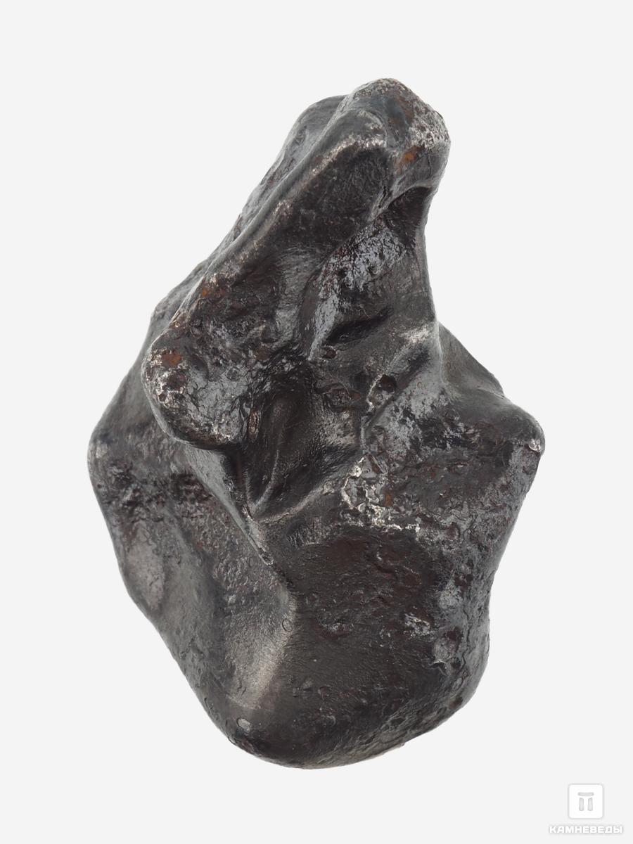 Метеорит «Сихотэ-Алинь», индивидуал 2,5-3 см (20-21 г) метеорит сихотэ алинь индивидуал 3х2 4х2 4 см 35 г