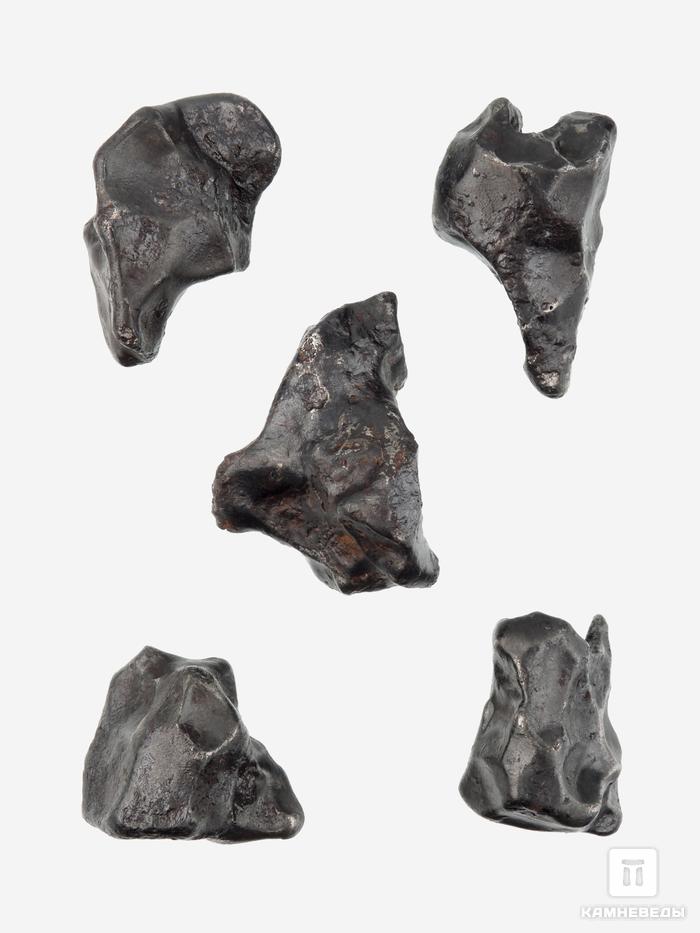 Метеорит «Сихотэ-Алинь», индивидуал 2,5-3 см (20-21 г), 26985, фото 3