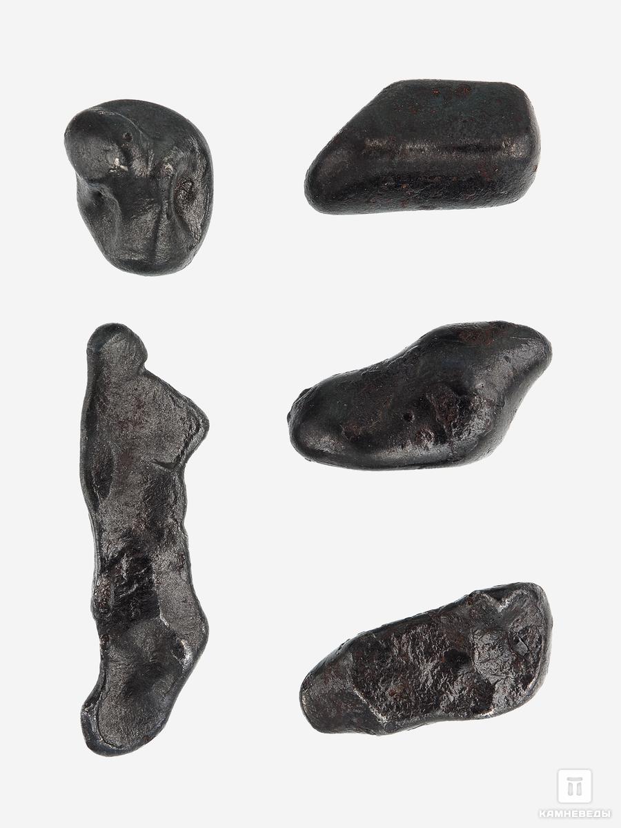 Метеорит «Сихотэ-Алинь» в пластиковом боксе, индивидуал 1-2,5 см (3-4 г) манганит в пластиковом боксе 2 3 см