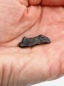 Метеорит «Сихотэ-Алинь» в пластиковом боксе, индивидуал 1-2,5 см (3-4 г), 26963, фото 4