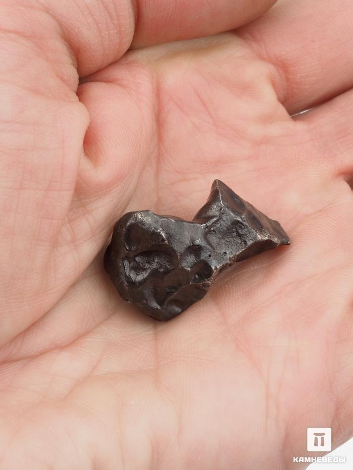 Метеорит «Сихотэ-Алинь», индивидуал 3,1х1,8х1,2 см (17 г), 26983, фото 3