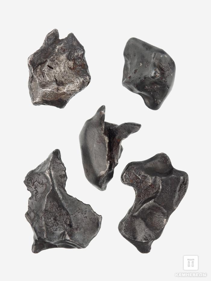 Метеорит «Сихотэ-Алинь», индивидуал 2-3 см (13-14 г), 26979, фото 3