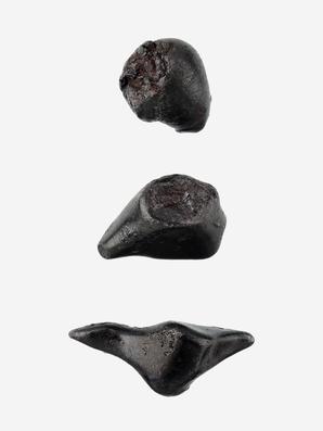 Метеорит «Сихотэ-Алинь» в пластиковом боксе, индивидуал 1-2,5 см (5-6 г)