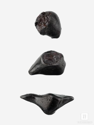 Метеориты. Метеорит Сихотэ-Алинь в пластиковом боксе, индивидуал 1-2,5 см (5-6 г)
