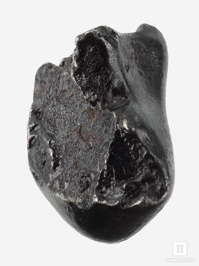Метеорит «Сихотэ-Алинь» в пластиковом боксе, индивидуал 1,5-2 см (6-7 г), 26968, фото 2
