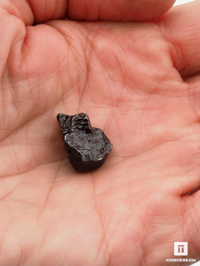 Метеорит «Сихотэ-Алинь» в пластиковом боксе, индивидуал 1,5-2 см (6-7 г), 26968, фото 4