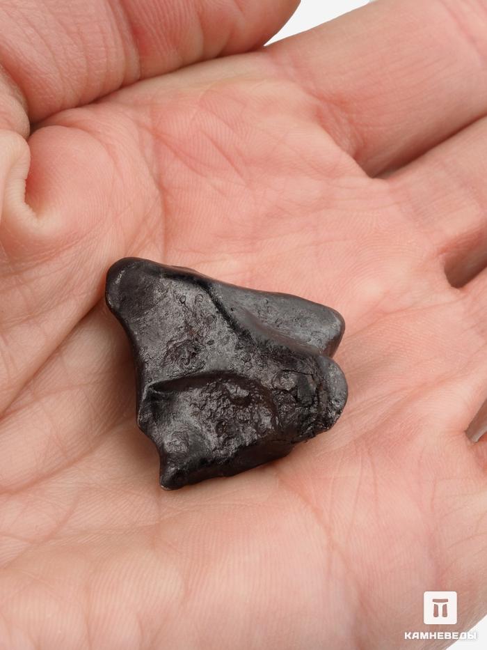 Метеорит «Сихотэ-Алинь», индивидуал 2,9х2,6х2,5 см (22 г), 26991, фото 3