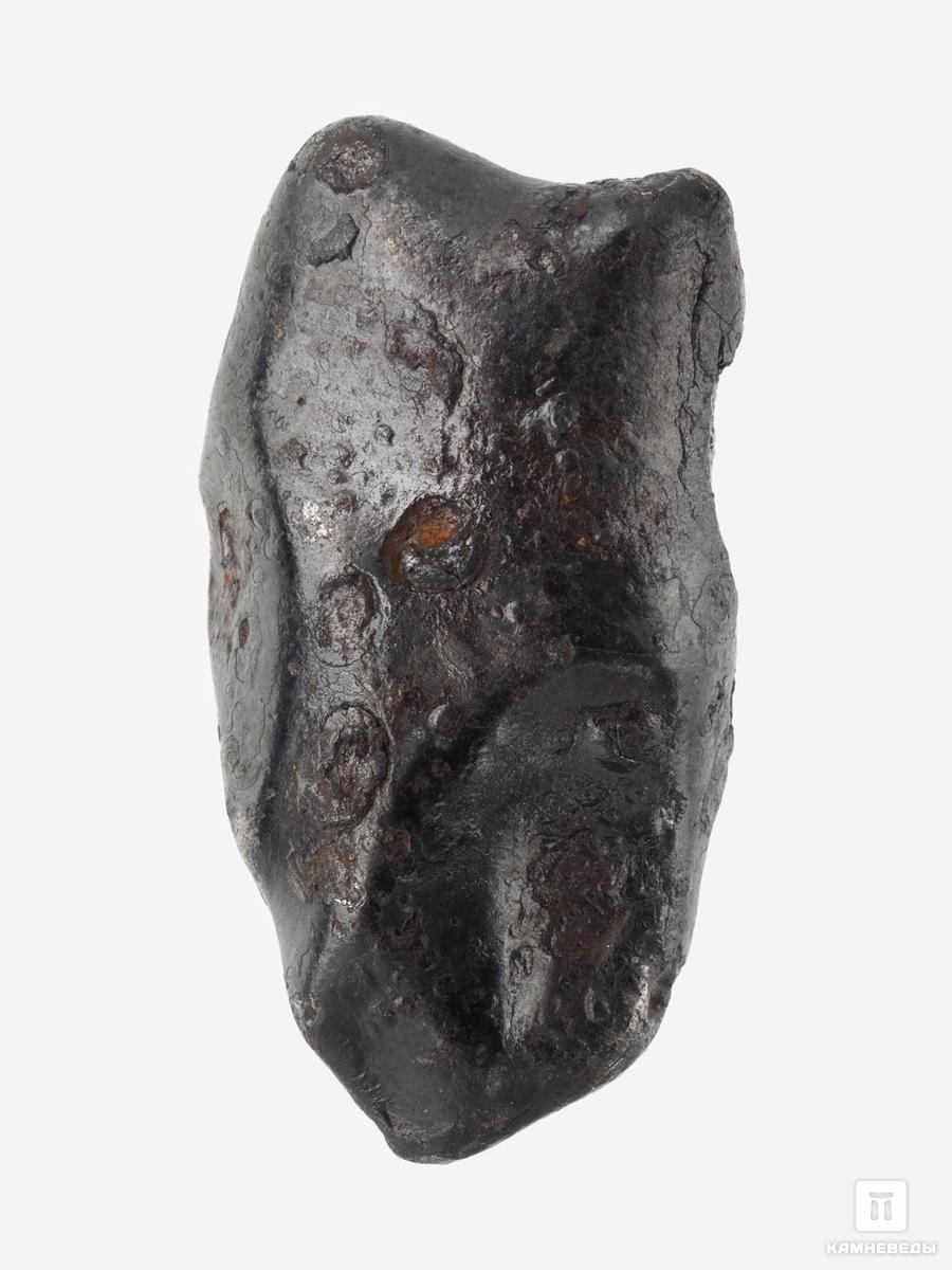 Метеорит «Сихотэ-Алинь», индивидуал 2-2,5 см (12-13 г) реформа 19 февраля 1861 года в помещичьих имениях