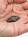 Метеорит «Сихотэ-Алинь», индивидуал 1,5-2,5 см (7-8 г), 26971, фото 4