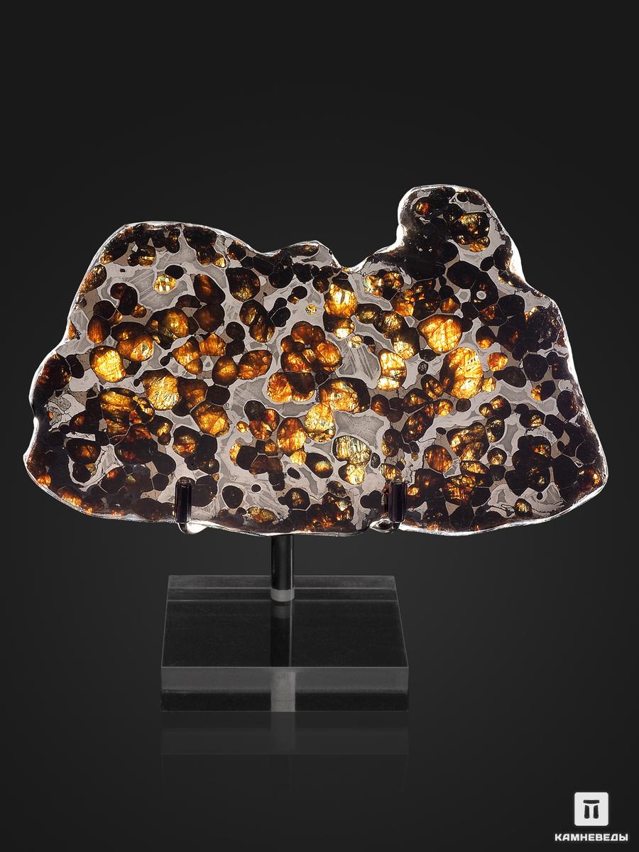 Метеорит Brenham c оливином, пластина на подставке 14,3х8,9х0,2 см (85,6 г) фигура ангелочек на подставке 5х5х15см