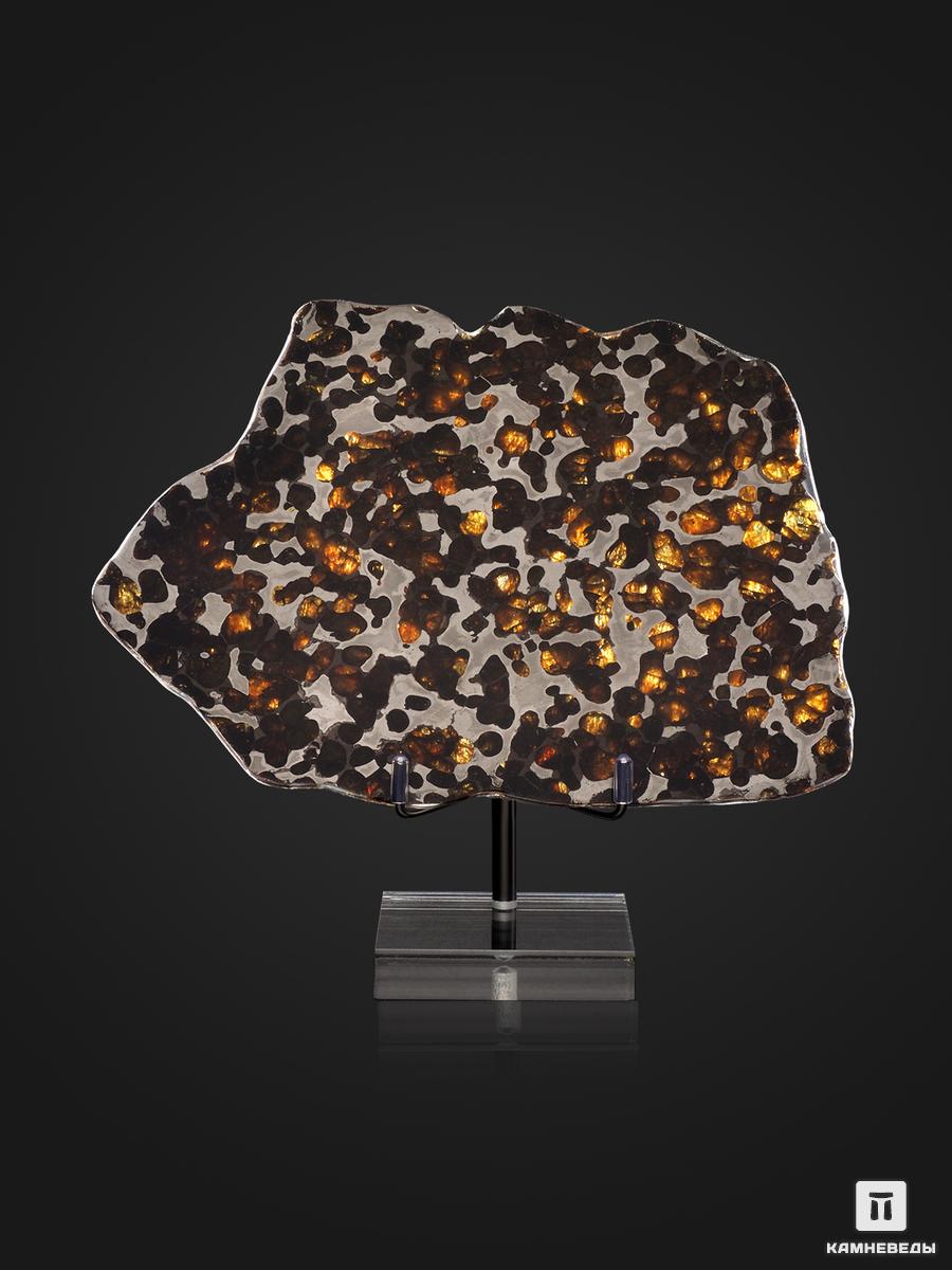 Метеорит Brenham с оливином, пластина на подставке 18х13х0,3 см (219,3 г) фигура ангелочек на подставке 5х5х15см