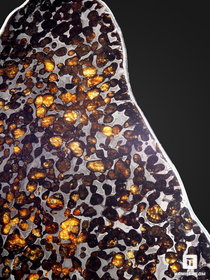 Метеорит Sericho с оливином, пластина на подставке 27х16х0,2 см (308 г), 25498, фото 3