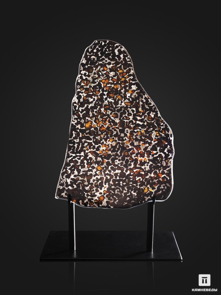 Метеорит Sericho с оливином, пластина на подставке 27х16х0,2 см (308 г)