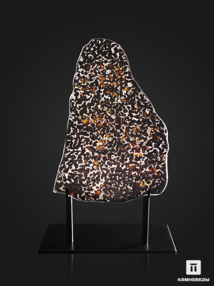 Метеорит Sericho с оливином, пластина на подставке 27х16х0,2 см (308 г), 25498, фото 1