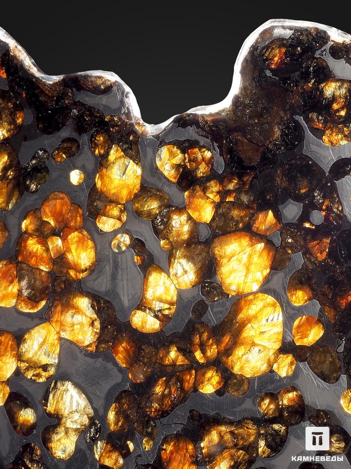 Метеорит Brenham c оливином, пластина на подставке 14,3х8,9х0,2 см (85,6 г), 25495, фото 3