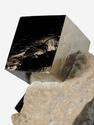 Пирит, кубические кристаллы на породе 4,6х4,5 см, 27024, фото 3