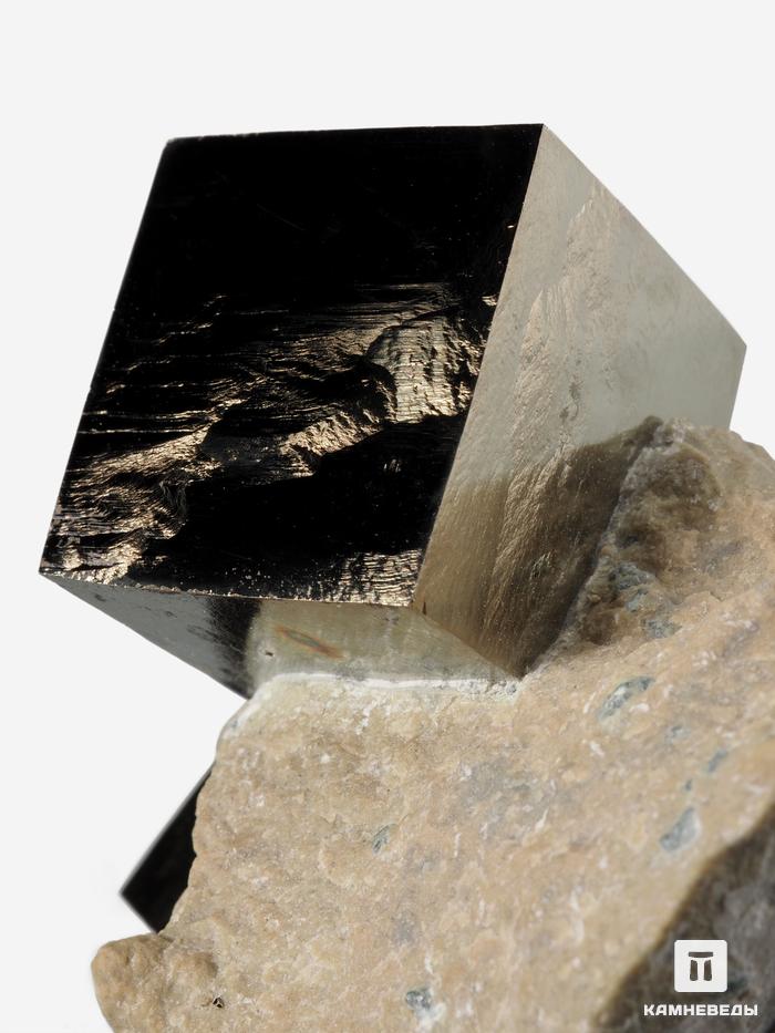 Пирит, кубические кристаллы на породе 4,6х4,5 см, 27024, фото 3