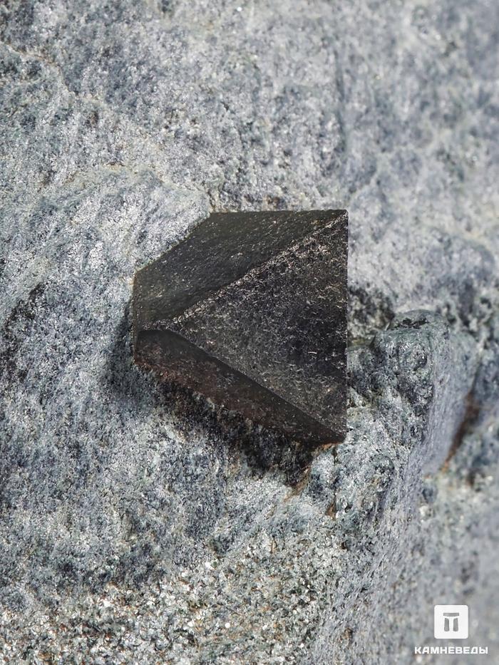 Магнетит в хлоритовом сланце, 10х5х4 см, 28001, фото 2
