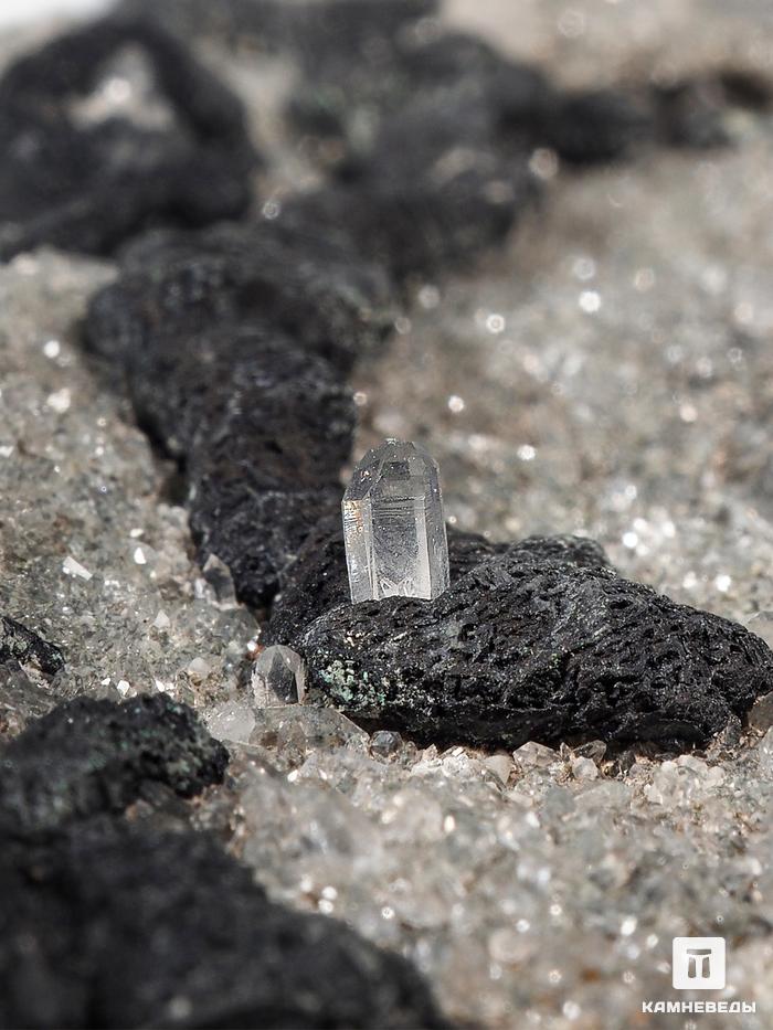 Борнит с халькозином на медистом песчанике, 14х8,3х4,6 см, 27952, фото 3