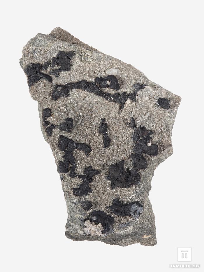 Борнит с халькозином на медистом песчанике, 14х8,3х4,6 см, 27952, фото 1