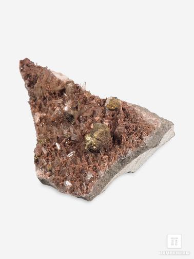Халькопирит. Халькопирит на медистом песчанике, 8,2х5,5х3,9 см