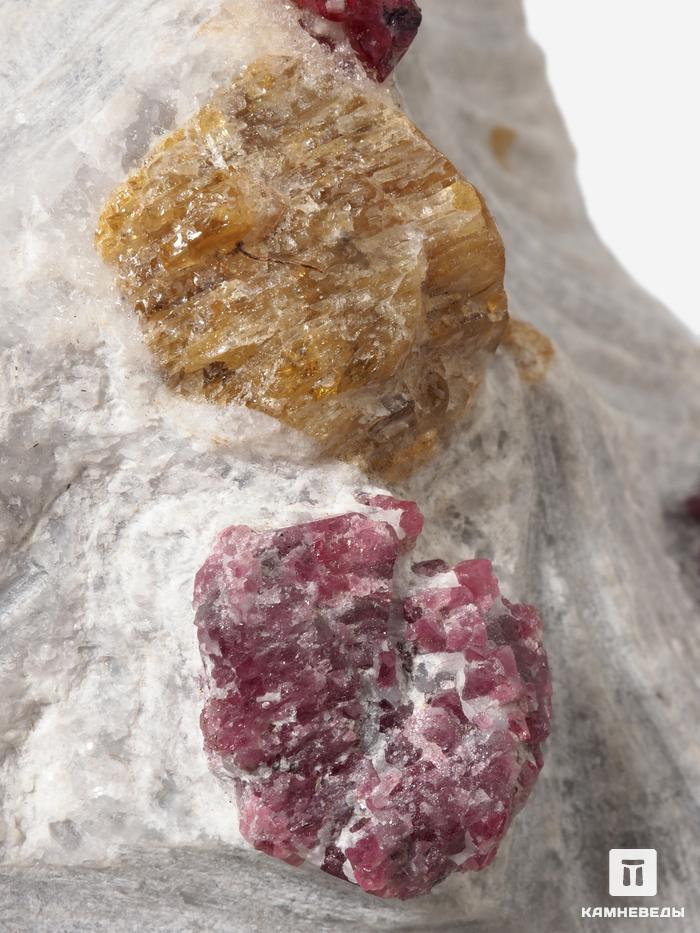 Шпинель красная, кристаллы с клиногумитом на кальците, 15,5х12х5,3 см, 27257, фото 3