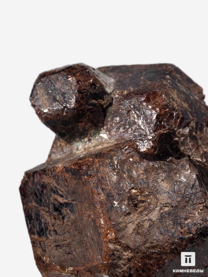 Гранат (альмандин), сросток кристаллов 3,6х3,1х2,6 см, 27295, фото 3