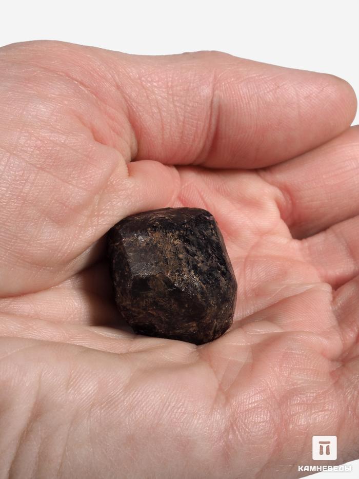 Гранат (альмандин), кристалл 2,6х2х1,7 см, 27296, фото 3