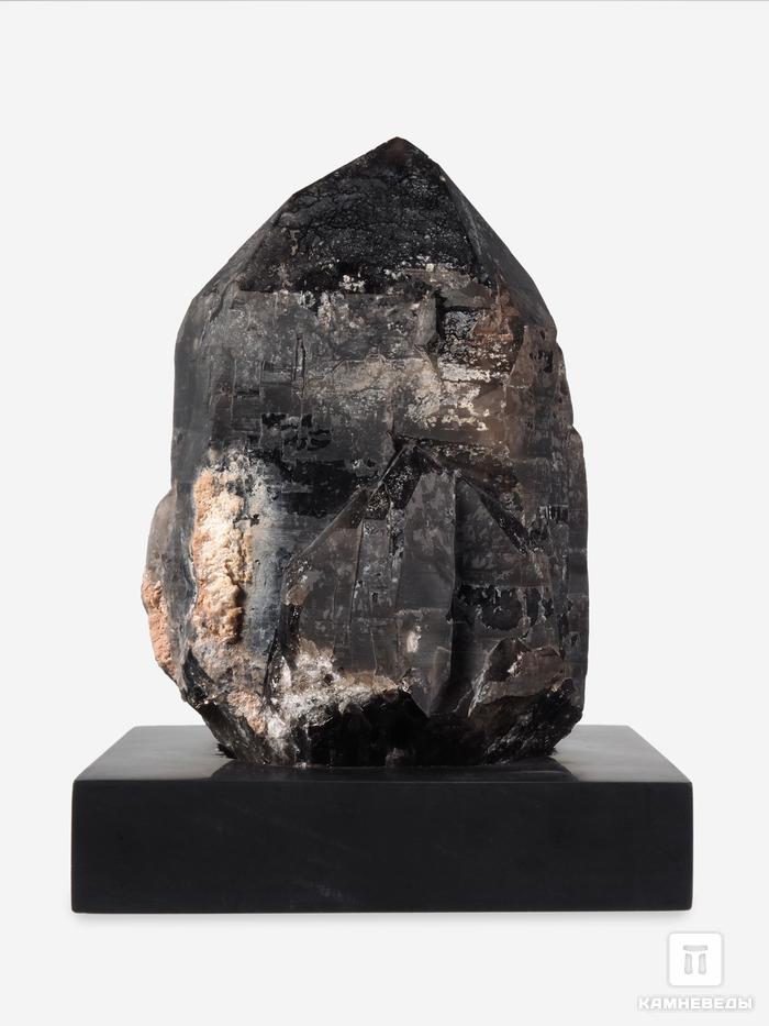 Дымчатый кварц (раухтопаз), кристалл на подставке 17,5х13,5х12,7 см, 28287, фото 2