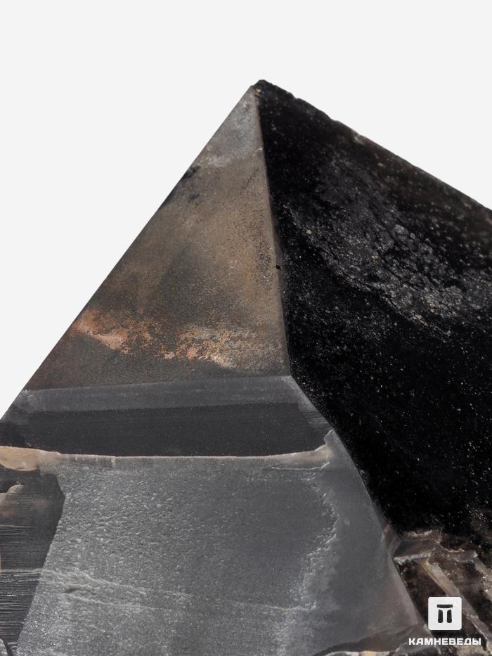 Дымчатый кварц (раухтопаз), кристалл на подставке 17,5х13,5х12,7 см, 28287, фото 3