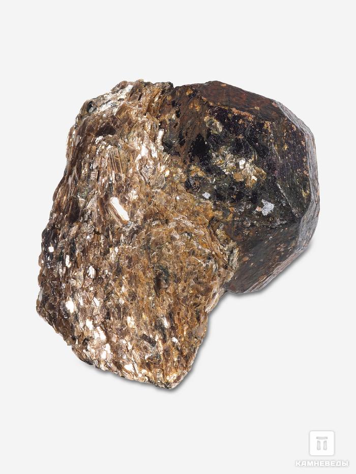 Гранат (альмандин), кристалл 3,8х2,9х2,2 см, 27294, фото 2
