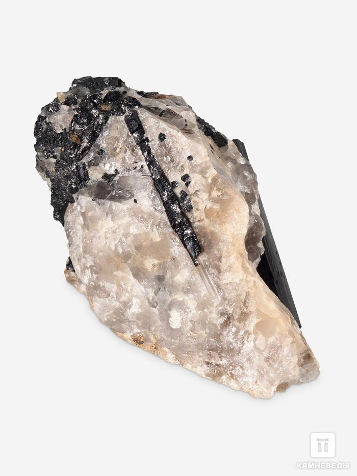Шерл (черный турмалин), кристаллы на кварце 13,5х7,3х7 см, 28322, фото 2
