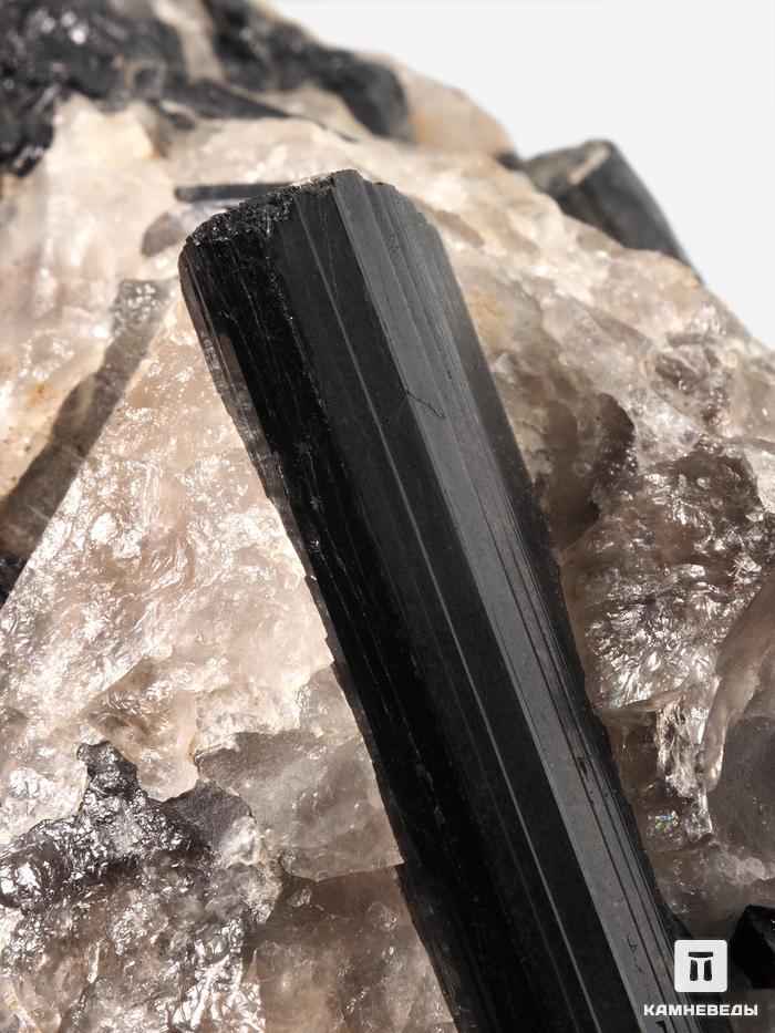 Шерл (черный турмалин), кристаллы на кварце 13,5х7,3х7 см, 28322, фото 3