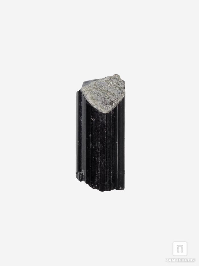 Шерл (чёрный турмалин), кристалл 1-2 см ( 0,5-1 г), 27779, фото 1