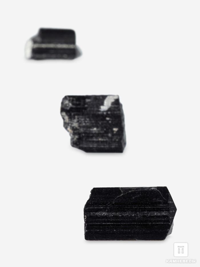 Шерл (чёрный турмалин), кристалл 0,5-1 см (1-2 г), 27775, фото 2
