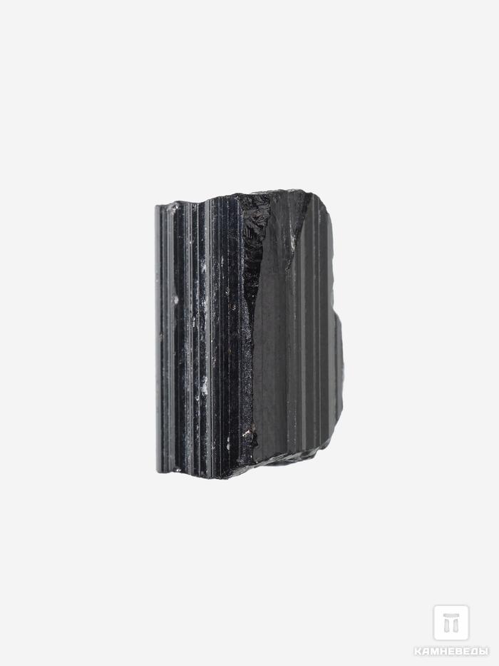 Шерл (чёрный турмалин), кристалл 0,5-1 см (1-2 г), 27775, фото 3